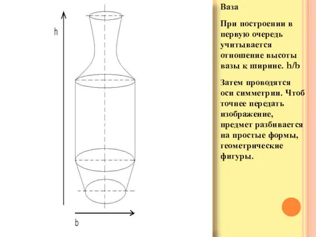 Ваза При построении в первую очередь учитывается отношение высоты вазы к ширине.