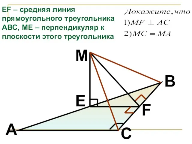 M F E B A C EF – средняя линия прямоугольного треугольника