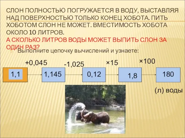 СЛОН ПОЛНОСТЬЮ ПОГРУЖАЕТСЯ В ВОДУ, ВЫСТАВЛЯЯ НАД ПОВЕРХНОСТЬЮ ТОЛЬКО КОНЕЦ ХОБОТА. ПИТЬ