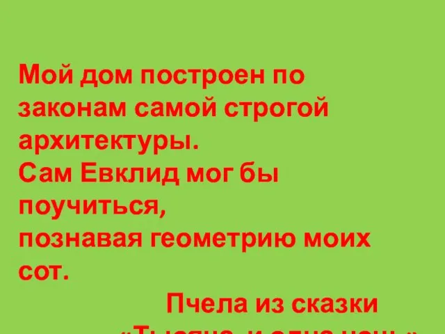 Мой дом построен по законам самой строгой архитектуры. Сам Евклид мог бы