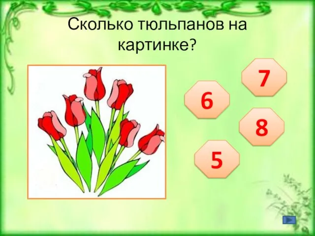 Сколько тюльпанов на картинке? 6 7 5 8