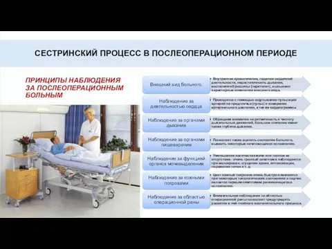 СЕСТРИНСКИЙ ПРОЦЕСС В ПОСЛЕОПЕРАЦИОННОМ ПЕРИОДЕ ПРИНЦИПЫ НАБЛЮДЕНИЯ ЗА ПОСЛЕОПЕРАЦИОННЫМ БОЛЬНЫМ