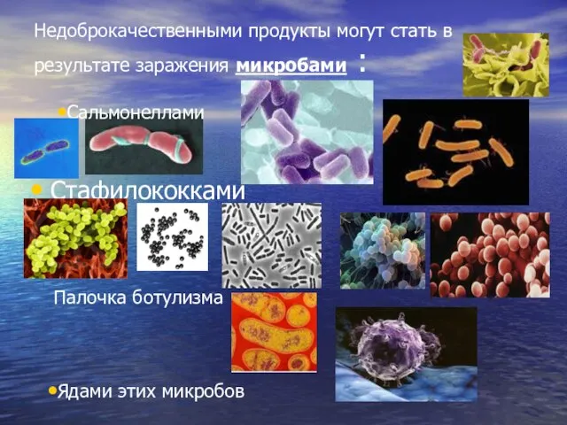 Недоброкачественными продукты могут стать в результате заражения микробами : Стафилококками Сальмонеллами Ядами этих микробов Палочка ботулизма