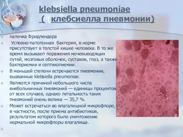 klebsiella pneumoniae ( (клебсиелла пневмонии) палочка Фридлендера Условно-патогенная бактерия, в норме присутствует