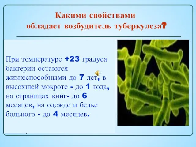 В отличие от других микробов, микобактерия туберкулеза чрезвычайно живуча: отлично себя чувствует