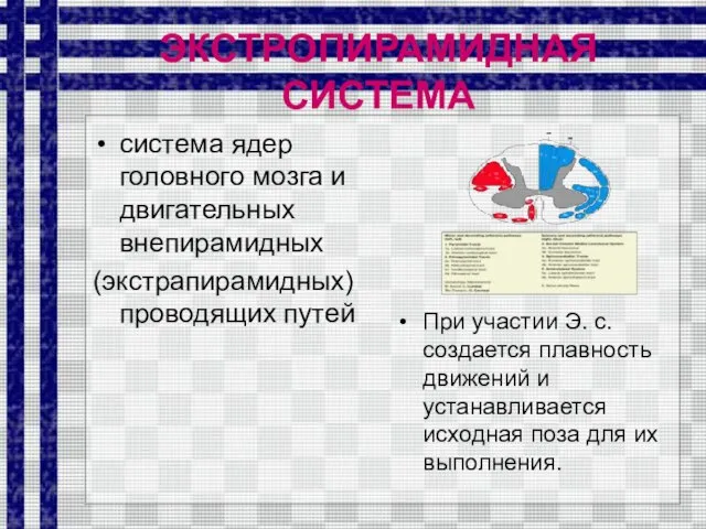 ЭКСТРОПИРАМИДНАЯ СИСТЕМА система ядер головного мозга и двигательных внепирамидных (экстрапирамидных) проводящих путей