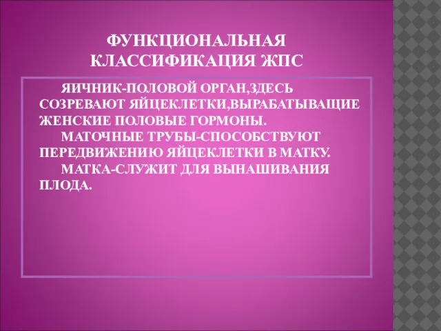 ФУНКЦИОНАЛЬНАЯ КЛАССИФИКАЦИЯ ЖПС ЯИЧНИК-ПОЛОВОЙ ОРГАН,ЗДЕСЬ СОЗРЕВАЮТ ЯЙЦЕКЛЕТКИ,ВЫРАБАТЫВАЩИЕ ЖЕНСКИЕ ПОЛОВЫЕ ГОРМОНЫ. МАТОЧНЫЕ ТРУБЫ-СПОСОБСТВУЮТ