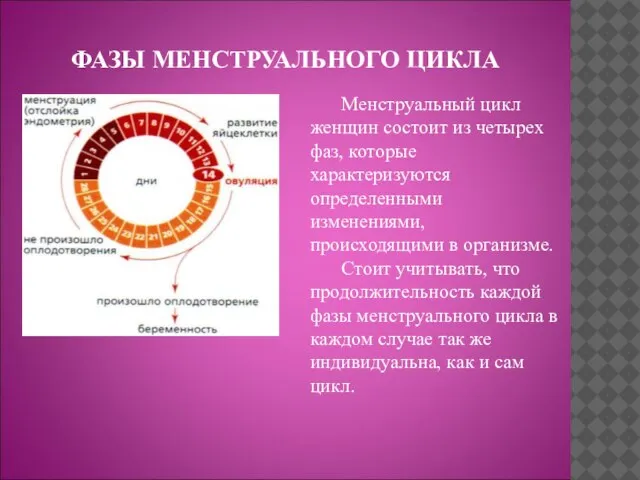 ФАЗЫ МЕНСТРУАЛЬНОГО ЦИКЛА Менструальный цикл женщин состоит из четырех фаз, которые характеризуются