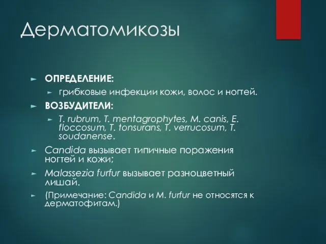 Дерматомикозы ОПРЕДЕЛЕНИЕ: грибковые инфекции кожи, волос и ногтей. ВОЗБУДИТЕЛИ: T. rubrum, T.