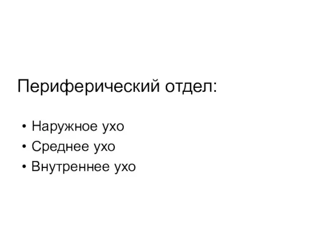 Периферический отдел: Наружное ухо Среднее ухо Внутреннее ухо