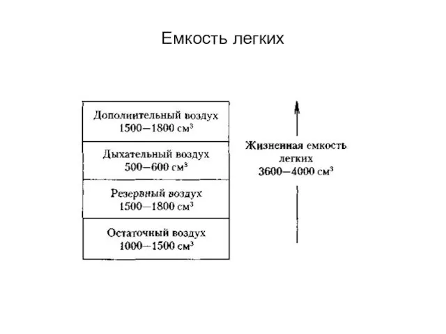 Емкость легких