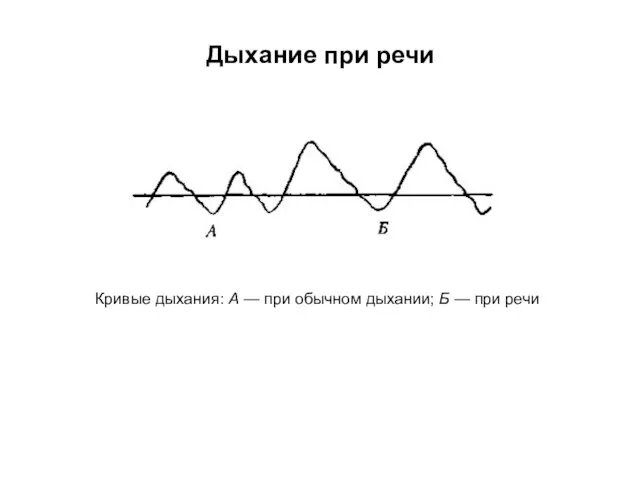 Дыхание при речи Кривые дыхания: А — при обычном дыхании; Б — при речи