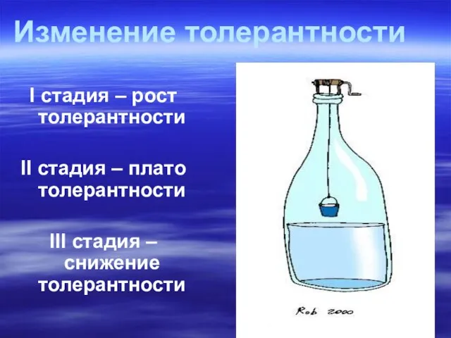 Изменение толерантности I стадия – рост толерантности II стадия – плато толерантности