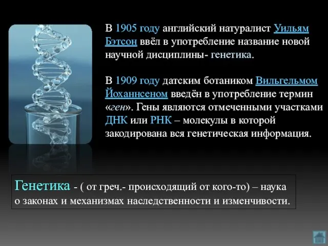 В 1905 году английский натуралист Уильям Бэтсон ввёл в употребление название новой