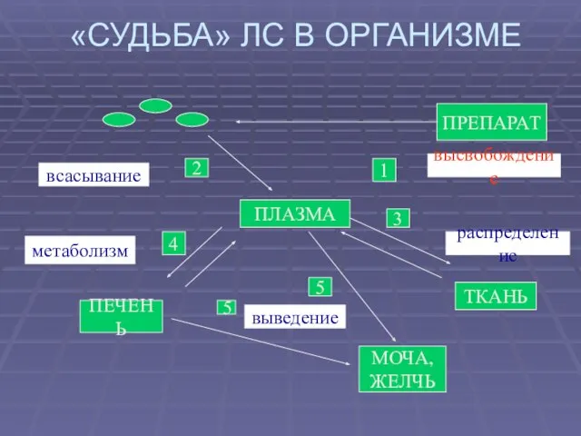 «СУДЬБА» ЛС В ОРГАНИЗМЕ ПРЕПАРАТ ПЛАЗМА ТКАНЬ МОЧА, ЖЕЛЧЬ ПЕЧЕНЬ высвобождение 4