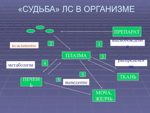 «СУДЬБА» ЛС В ОРГАНИЗМЕ ПРЕПАРАТ ПЛАЗМА ТКАНЬ МОЧА, ЖЕЛЧЬ ПЕЧЕНЬ высвобождение 4