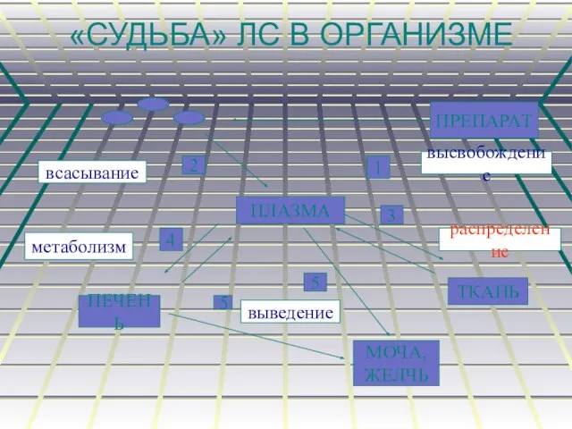 «СУДЬБА» ЛС В ОРГАНИЗМЕ ПРЕПАРАТ ПЛАЗМА ТКАНЬ МОЧА, ЖЕЛЧЬ ПЕЧЕНЬ высвобождение 4