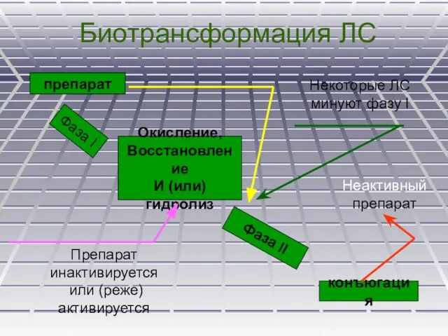 Биотрансформация ЛС препарат Фаза I Окисление, Восстановление И (или) гидролиз Фаза II