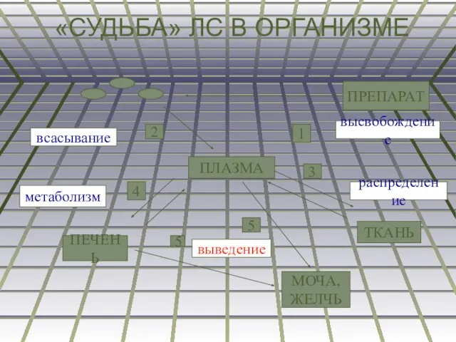 «СУДЬБА» ЛС В ОРГАНИЗМЕ ПРЕПАРАТ ПЛАЗМА ТКАНЬ МОЧА, ЖЕЛЧЬ ПЕЧЕНЬ высвобождение 4
