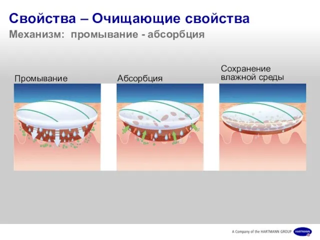 Свойства – Очищающие свойства Механизм: промывание - абсорбция Промывание Абсорбция Сохранение влажной среды