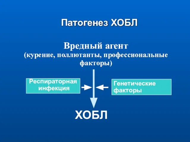 Патогенез ХОБЛ Вредный агент (курение, поллютанты, профессиональные факторы) ХОБЛ Генетические факторы Респираторная инфекция