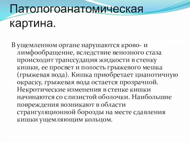 Патологоанатомическая картина. В ущемленном органе нарушаются крово- и лимфообращение, вследствие венозного стаза