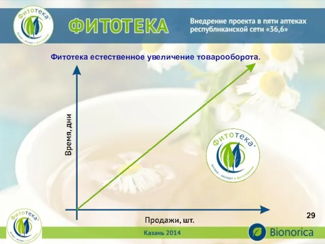 Фитотека естественное увеличение товарооборота. 29