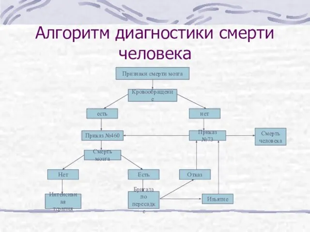 Алгоритм диагностики смерти человека Признаки смерти мозга Кровообращение есть нет Приказ №460