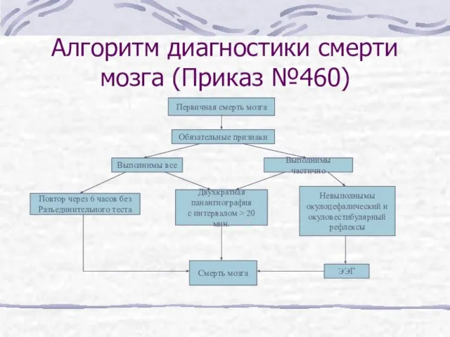 Алгоритм диагностики смерти мозга (Приказ №460) Первичная смерть мозга Обязательные признаки Выполнимы