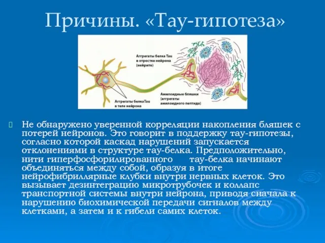 Причины. «Тау-гипотеза» Не обнаружено уверенной корреляции накопления бляшек с потерей нейронов. Это