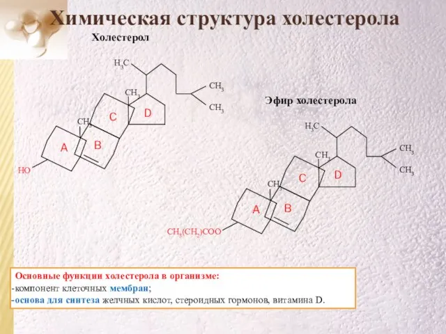 Химическая структура холестерола D C B A Основные функции холестерола в организме: