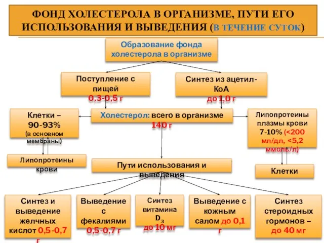 ФОНД ХОЛЕСТЕРОЛА В ОРГАНИЗМЕ, ПУТИ ЕГО ИСПОЛЬЗОВАНИЯ И ВЫВЕДЕНИЯ (В ТЕЧЕНИЕ СУТОК)