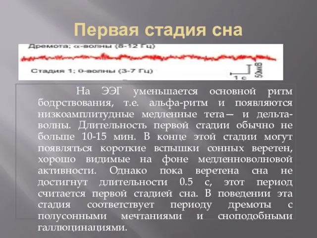 Первая стадия сна На ЭЭГ уменьшается основной ритм бодрствования, т.е. альфа-ритм и