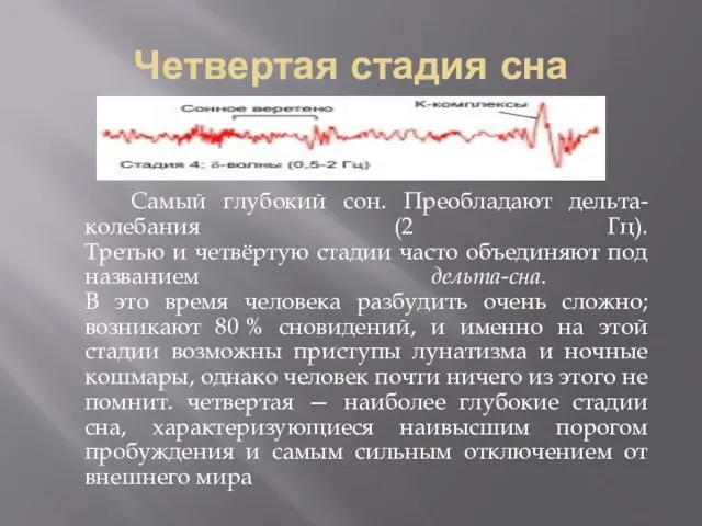 Четвертая стадия сна Самый глубокий сон. Преобладают дельта-колебания (2 Гц). Третью и