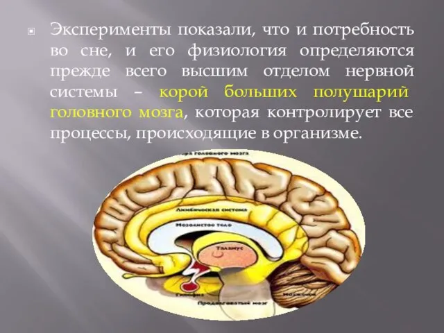 Эксперименты показали, что и потребность во сне, и его физиология определяются прежде