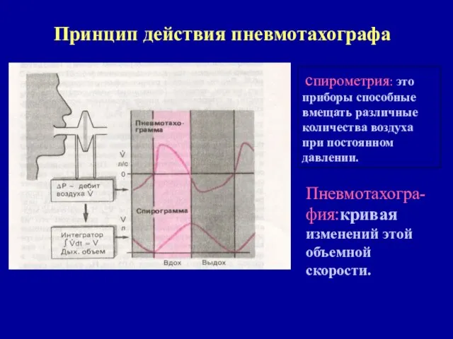 Принцип действия пневмотахографа спирометрия: это приборы способные вмещать различные количества воздуха при