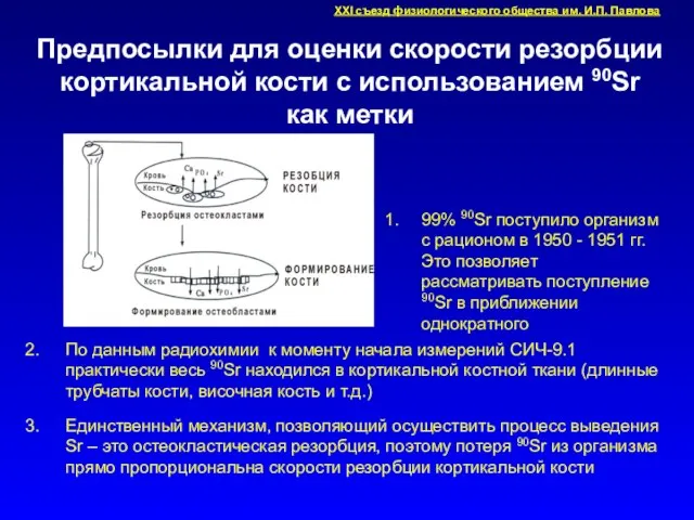 Предпосылки для оценки скорости резорбции кортикальной кости с использованием 90Sr как метки