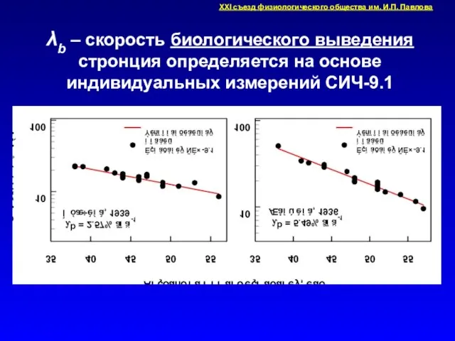 λb – скорость биологического выведения стронция определяется на основе индивидуальных измерений СИЧ-9.1