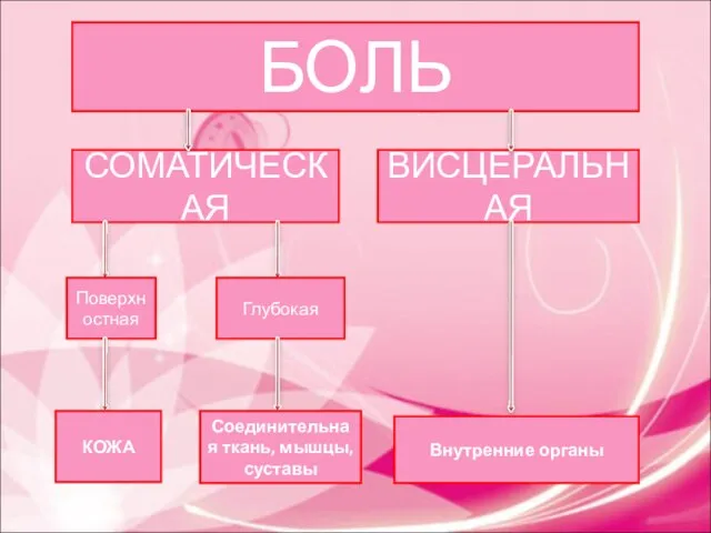 БОЛЬ СОМАТИЧЕСКАЯ ВИСЦЕРАЛЬНАЯ Поверхностная Глубокая КОЖА Соединительная ткань, мышцы, суставы Внутренние органы