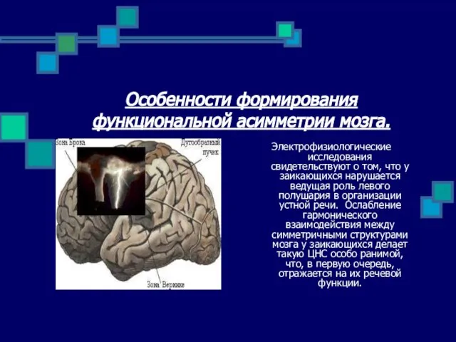 Особенности формирования функциональной асимметрии мозга. Электрофизиологические исследования свидетельствуют о том, что у