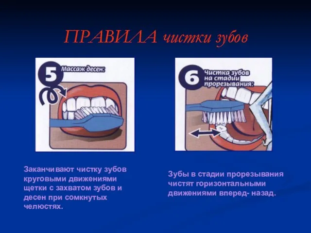 ПРАВИЛА чистки зубов Заканчивают чистку зубов круговыми движениями щетки с захватом зубов