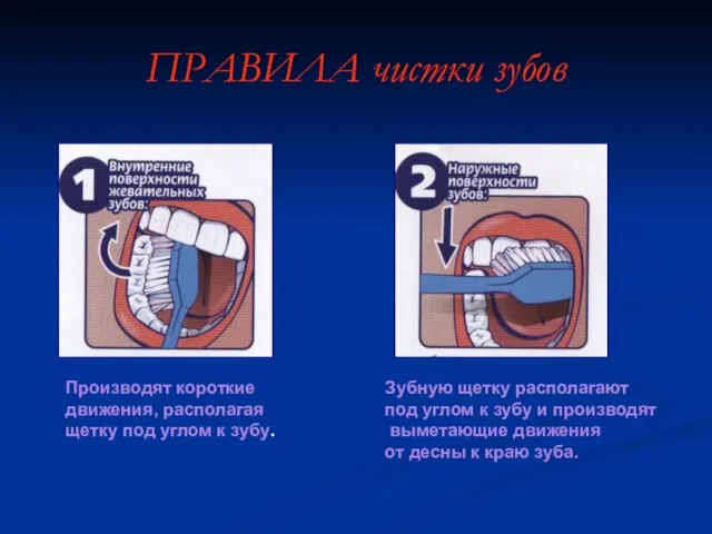 ПРАВИЛА чистки зубов Производят короткие движения, располагая щетку под углом к зубу.