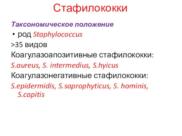 Стафилококки Таксономическое положение род Staphylococcus >35 видов Коагулазоапозитивные стафилококки: S.aureus, S. intermedius,