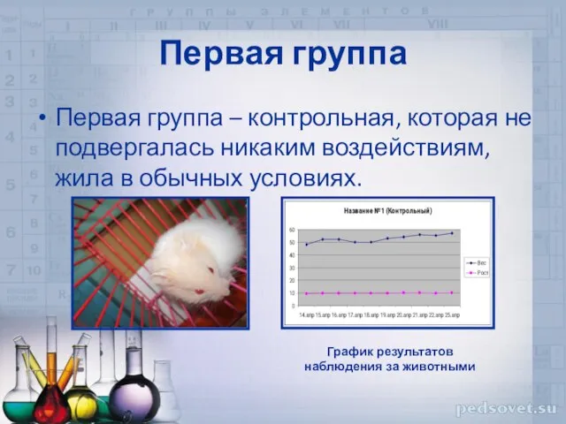 Первая группа Первая группа – контрольная, которая не подвергалась никаким воздействиям, жила