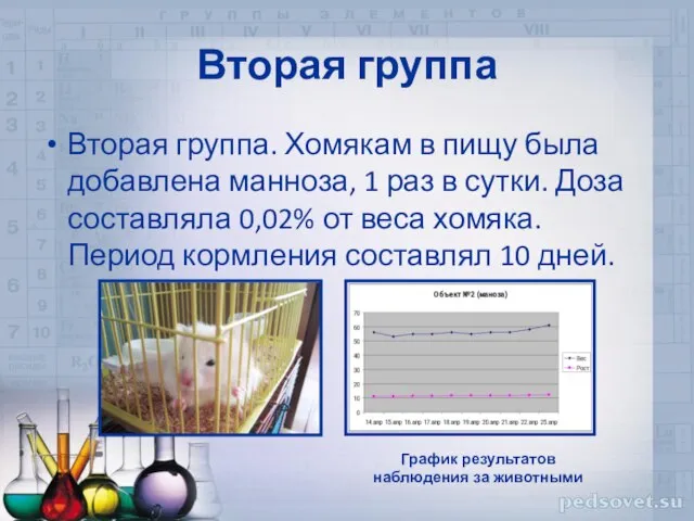 Вторая группа Вторая группа. Хомякам в пищу была добавлена манноза, 1 раз