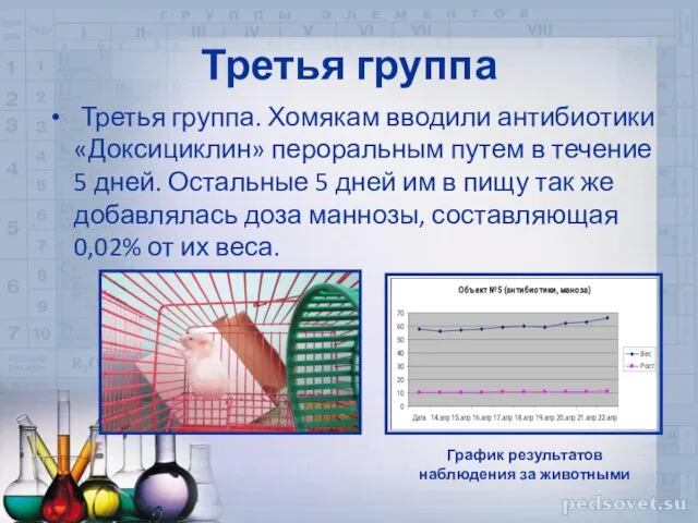 Третья группа Третья группа. Хомякам вводили антибиотики «Доксициклин» пероральным путем в течение