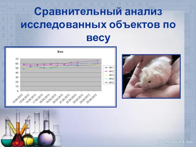 Сравнительный анализ исследованных объектов по весу