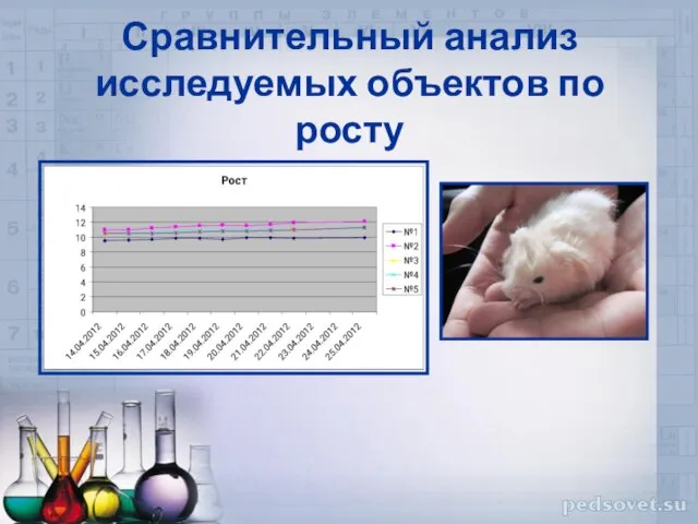 Сравнительный анализ исследуемых объектов по росту