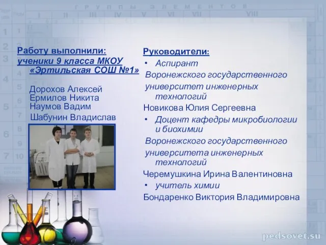 Работу выполнили: ученики 9 класса МКОУ «Эртильская СОШ №1» Дорохов Алексей Ермилов