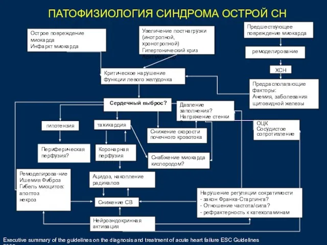 Острое повреждение миокарда Инфаркт миокарда Увеличение постнагрузки (инотропной, хронотропной) Гипертонический криз Аритмия